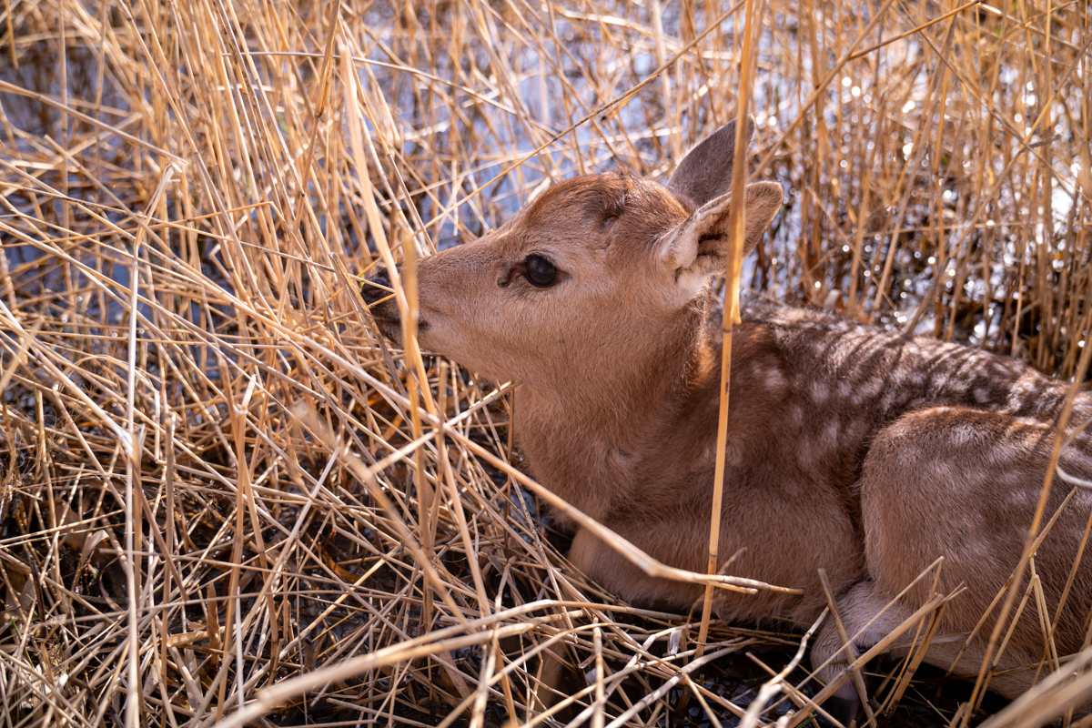 1745724083895649.jpg 1745724083895649.jpg