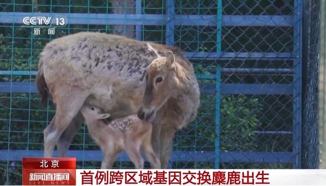 微信截图_20250507143429.png