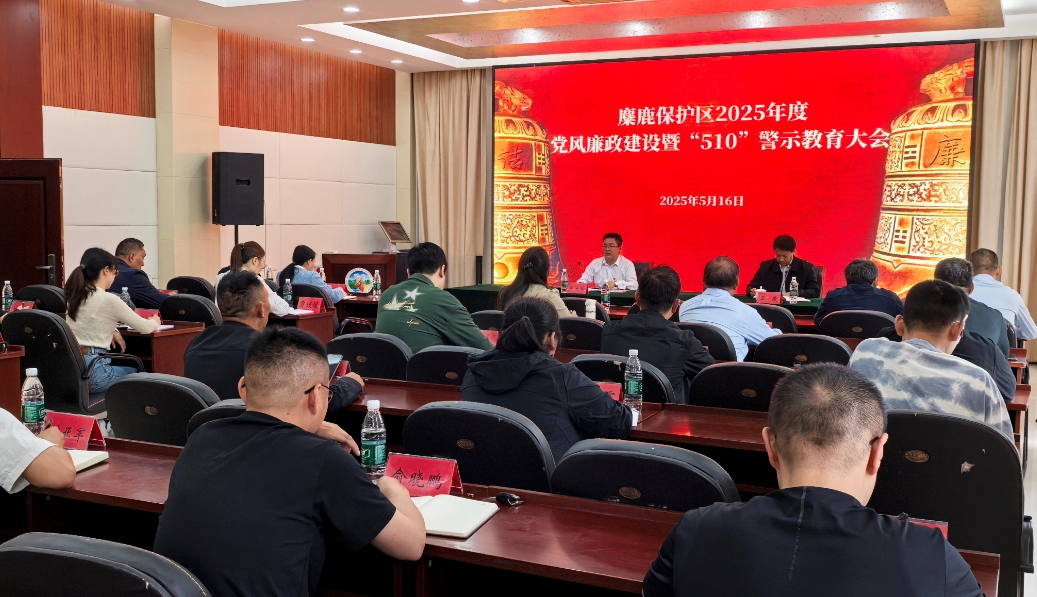 1747638965271572.png 1747638965271572.png