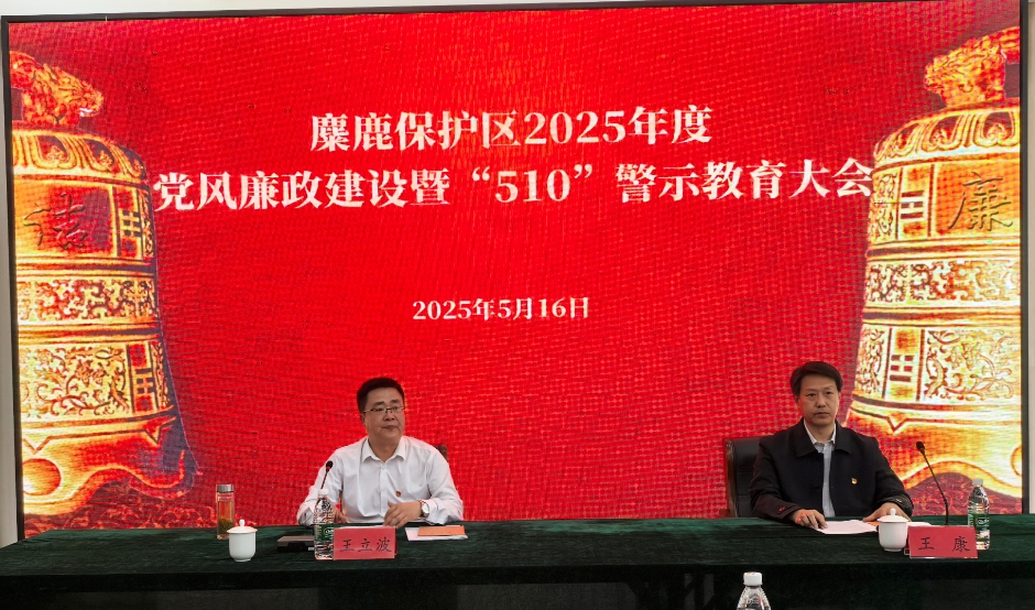 1747639016861810.png 1747639016861810.png