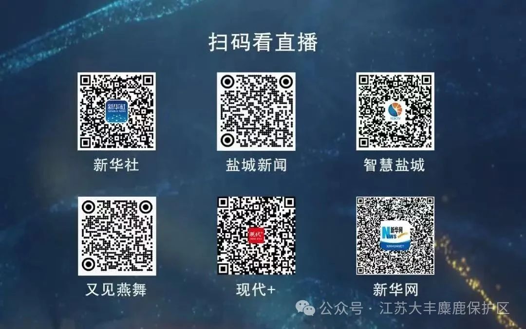 1751252478332843.jpg 1751252478332843.jpg